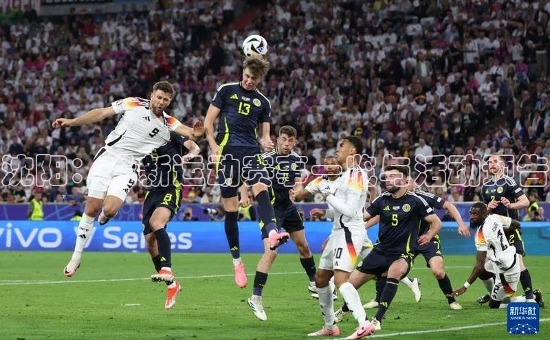 沈阳：最新运动赛事一览与活动预告