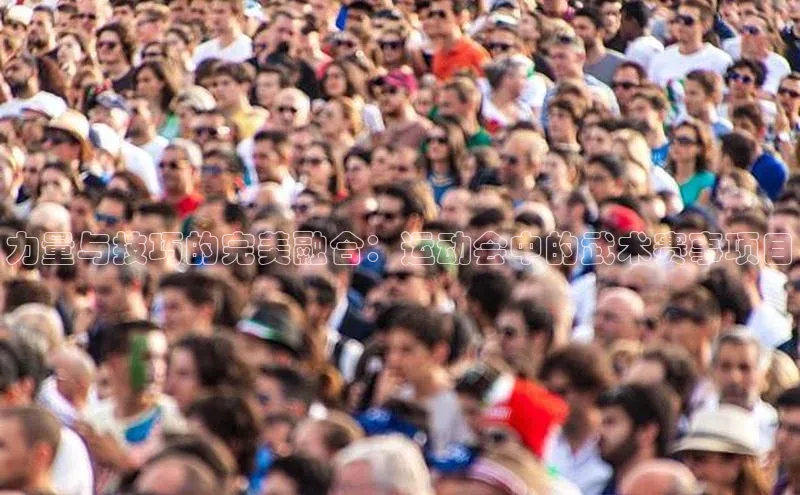 力量与技巧的完美融合：运动会中的武术赛事项目