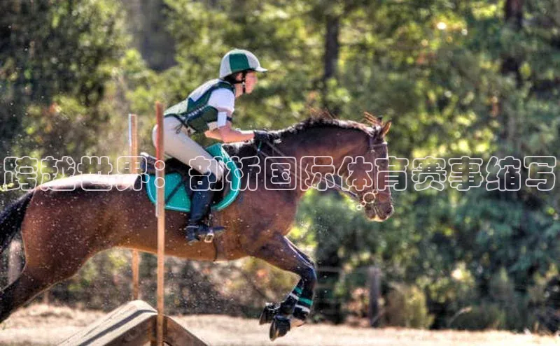 万向娱乐平台登录地址