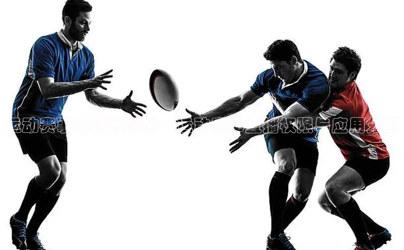 运动赛事的精彩瞬间：运动赛事直播权限与应用分析