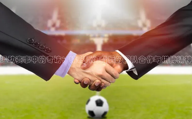 运动赛事中的专访：精彩瞬间背后的团队合作与拼搏精神