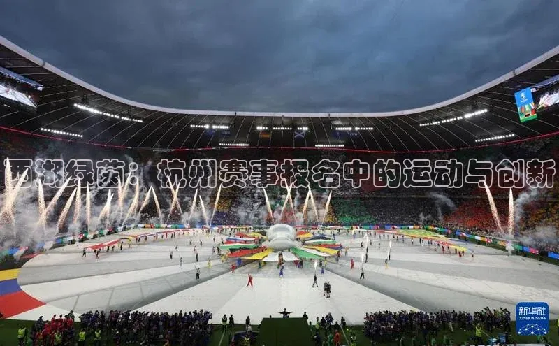 西湖绿茵：杭州赛事报名中的运动与创新