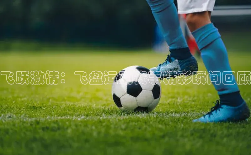 飞跃激情：飞盘运动赛事精彩瞬间回顾