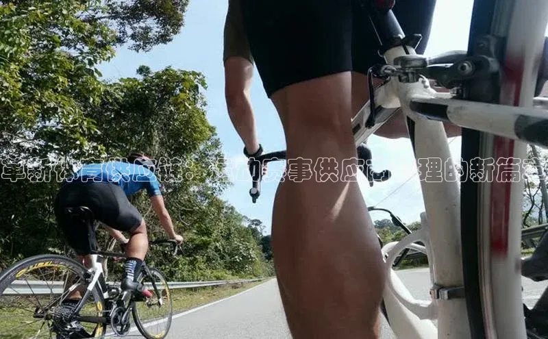 革新体育供应链：运动赛事供应商管理的新篇章