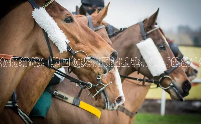 极限挑战：美国顶尖极限运动赛事背后的故事