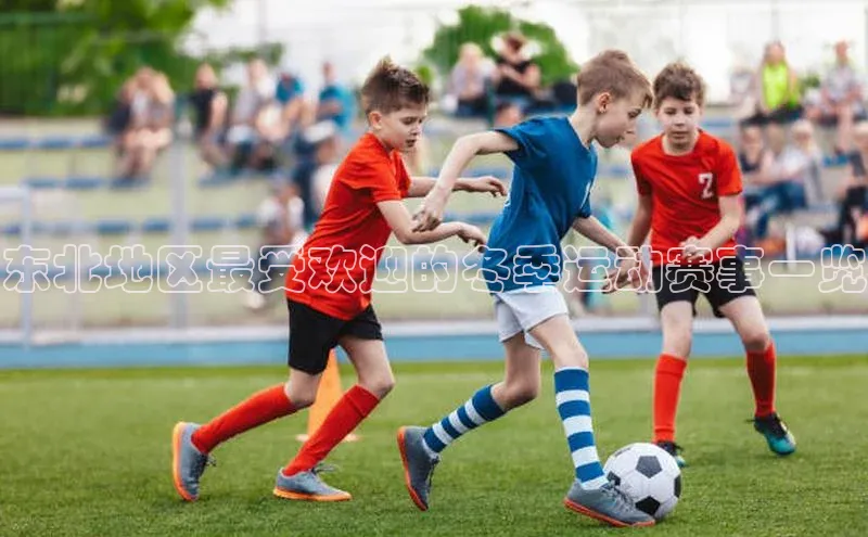 东北地区最受欢迎的冬季运动赛事一览