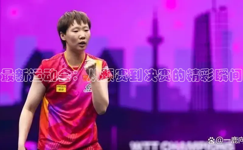 最新运动会：从预赛到决赛的精彩瞬间