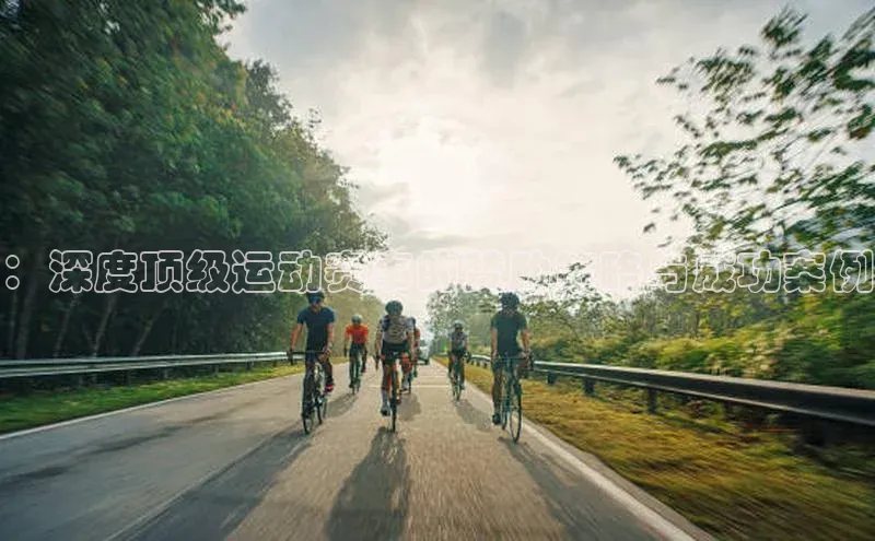 ：深度顶级运动赛事的赞助策略与成功案例