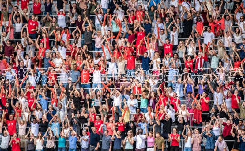 赛场风云：我的运动赛事心得分享