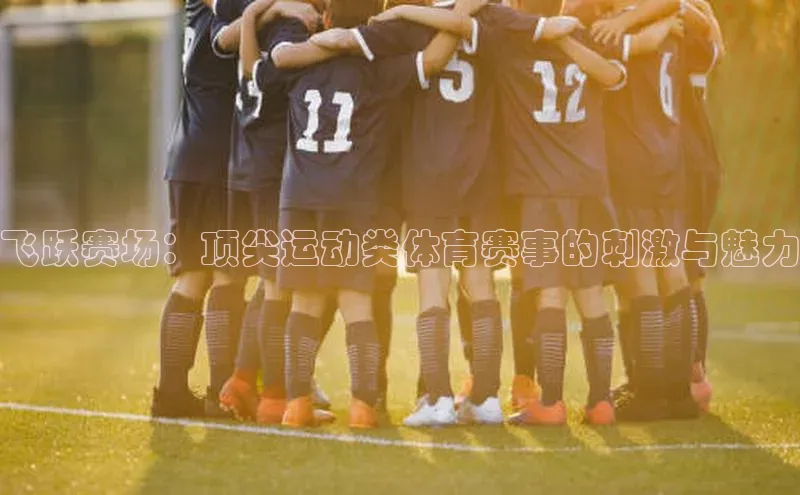 飞跃赛场：顶尖运动类体育赛事的刺激与魅力