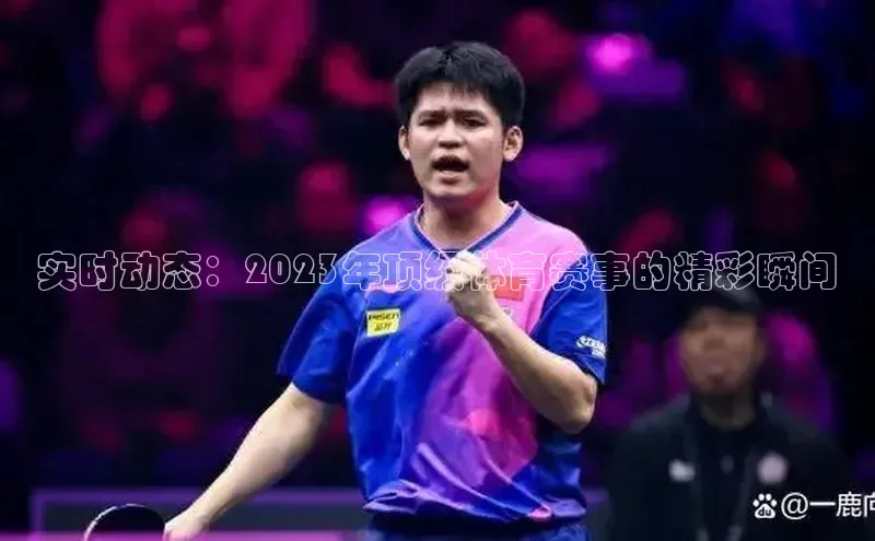 实时动态：2023年顶级体育赛事的精彩瞬间