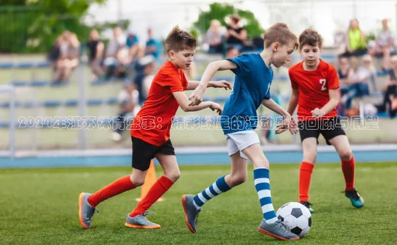 2024年江苏体育盛事：精彩纷呈的运动盛宴回顾与展望