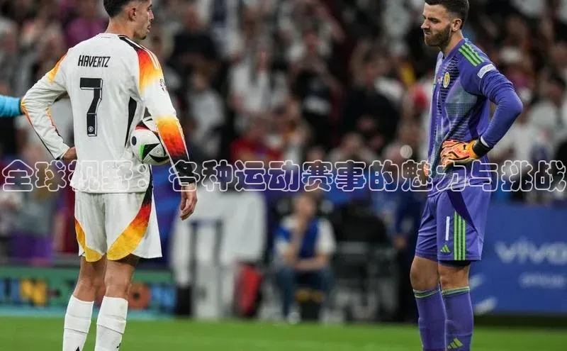 全球视野：各种运动赛事的魅力与挑战