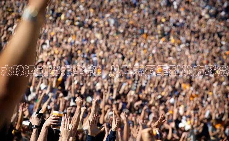 水球运动赛事全览：从世界冠军到地方联赛