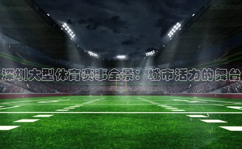 深圳大型体育赛事全景：城市活力的舞台