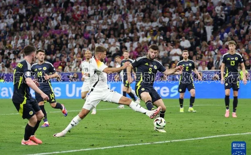 体育迷的盛宴：全球热门运动赛事收视率排行榜