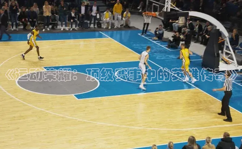 《运动荣耀：顶级赛事中的英雄传奇》