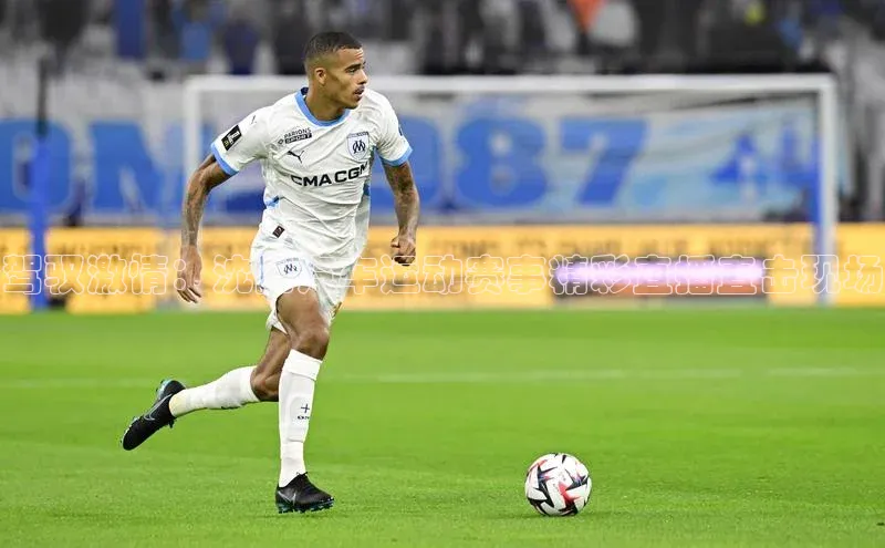 驾驭激情：沈阳汽车运动赛事精彩直播直击现场