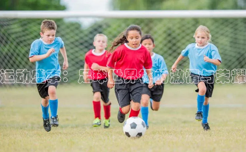 运动盛事：足球世界杯的激情与荣耀