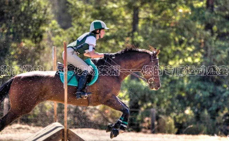 激情燃动，尽享赛场荣耀——您的专属运动盛宴