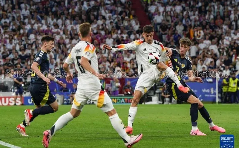 湖北运动会精彩赛事直播：强健体魄，团结精神-点亮你的运动热情！